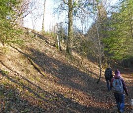 AVE_Begehung_H__ndlbach_12-2105_Bild-3