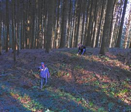 AVE_Begehung_H__ndlbach_12-2105_Bild-4