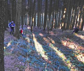 AVE_Begehung_H__ndlbach_12-2105_Bild-5
