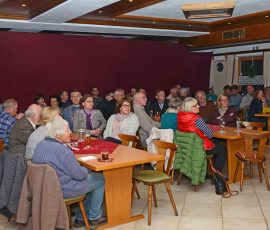 AVE_Buchvorstellung_Koller_11-2015_Bild-3