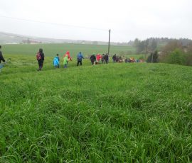 AVE_Dritte_Grenzsteinwanderung_27-04-2014_Bild__12