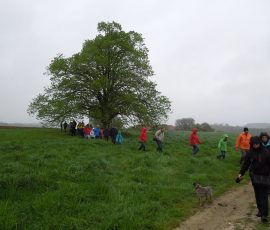 AVE_Dritte_Grenzsteinwanderung_27-04-2014_Bild__19
