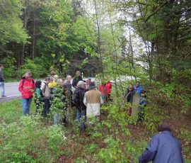 AVE_Dritte_Grenzsteinwanderung_27-04-2014_Bild__23