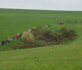 AVE_Dritte_Grenzsteinwanderung_27-04-2014_Bild__32