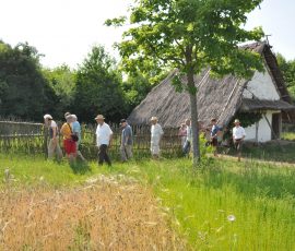 AVE_Exkursion_Juni2012_Sammlung_Aschheim_und_Bajuwarenhof_Kirchheim_Bild_8