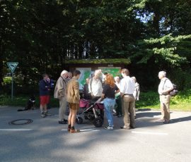 AVE_Exkursion_R_merschanze_Gr_nwald_08-2012_Bild__003