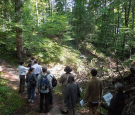 AVE_Exkursion_R_merschanze_Gr_nwald_08-2012_Bild__021