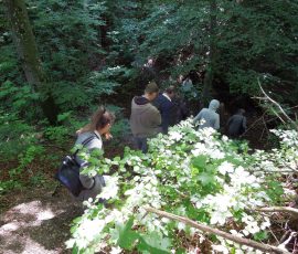 AVE_Exkursion_R_merschanze_Gr_nwald_08-2012_Bild__061