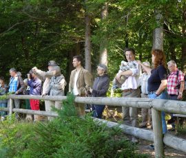 AVE_Exkursion_R_merschanze_Gr_nwald_08-2012_Bild__085