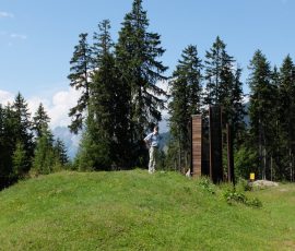 AVE_Exkursion_Tirol_08-2015_Bild__028