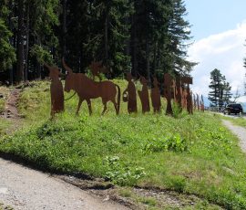 AVE_Exkursion_Tirol_08-2015_Bild__033