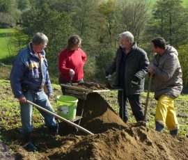 AVE_Grabung_Kirchstetten_Bild_100