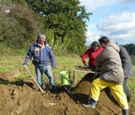 AVE_Grabung_Kirchstetten_Bild_108
