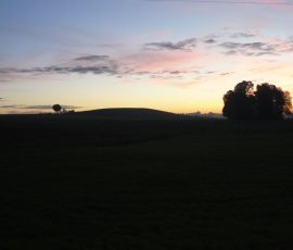 AVE_Grabung_Kirchstetten_Bild_113