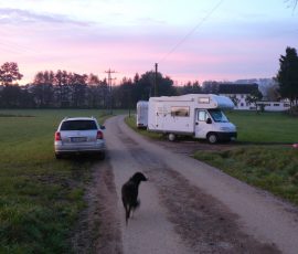 AVE_Grabung_Kirchstetten_Bild_114
