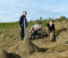 AVE_Grabung_Kirchstetten_Bild_119