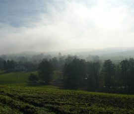 AVE_Grabung_Kirchstetten_Bild_129
