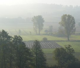 AVE_Grabung_Kirchstetten_Bild_130