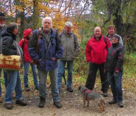 AVE_Houbirg_Exkursion_11-2012_Bild_1