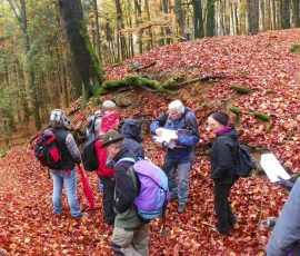 AVE_Houbirg_Exkursion_11-2012_Bild_3