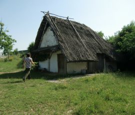 AVE_Kirchheim_Juni_2012_imag001
