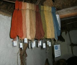 AVE_Kirchheim_Juni_2012_imag005