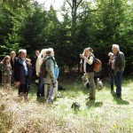 AVE_Sallach-Exkursion_05-2015_Bild-6