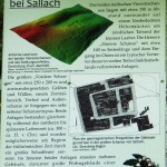 AVE_Sallach-Exkursion_05-2015_Bild-8