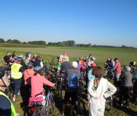 AVE_Tag_des_offenen_Denkmals_2012_Unterirdisches_Erding_Bild__055