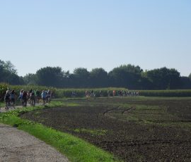 AVE_Tag_des_offenen_Denkmals_2012_Unterirdisches_Erding_Bild__077