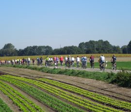 AVE_Tag_des_offenen_Denkmals_2012_Unterirdisches_Erding_Bild__273