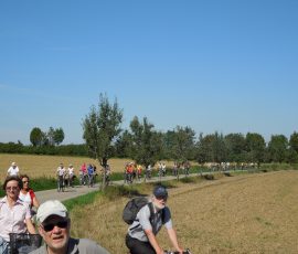 AVE_Tag_des_offenen_Denkmals_2012_Unterirdisches_Erding_Bild__389