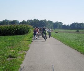 AVE_Tag_des_offenen_Denkmals_2012_Unterirdisches_Erding_Bild__401