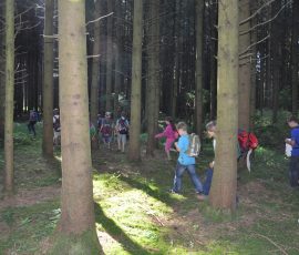 AVE_Wandertag_Grundschule_Dorfen_Viereckschanze_Bild__015