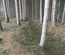 AVE_Wanderung_Grabh_gel_Eschlbach_02_2012_Bild10