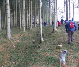 AVE_Wanderung_Grabh_gel_Eschlbach_02_2012_Bild11