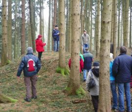 AVE_Wanderung_Grabh_gel_Eschlbach_02_2012_Bild13