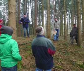 AVE_Wanderung_Grabh_gel_Eschlbach_02_2012_Bild14