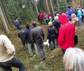 AVE_Wanderung_Grabh_gel_Eschlbach_02_2012_Bild15