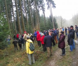 AVE_Wanderung_Grabh_gel_Eschlbach_02_2012_Bild17