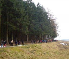 AVE_Wanderung_Grabh_gel_Eschlbach_02_2012_Bild4