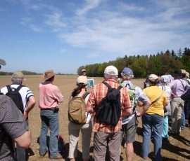 AVE_Wanderung_Keltenschanzen_W_rth_ED_April_2012_Bild_10