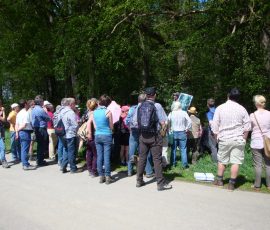 AVE_Wanderung_Keltenschanzen_W_rth_ED_April_2012_Bild_13