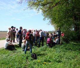 AVE_Wanderung_Keltenschanzen_W_rth_ED_April_2012_Bild_14