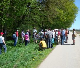 AVE_Wanderung_Keltenschanzen_W_rth_ED_April_2012_Bild_15