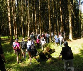 AVE_Wanderung_Keltenschanzen_W_rth_ED_April_2012_Bild_18