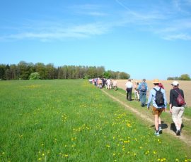 AVE_Wanderung_Keltenschanzen_W_rth_ED_April_2012_Bild_4