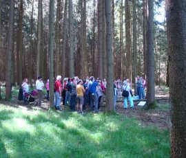 AVE_Wanderung_Keltenschanzen_W_rth_ED_April_2012_Bild_6