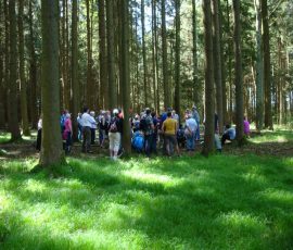 AVE_Wanderung_Keltenschanzen_W_rth_ED_April_2012_Bild_8