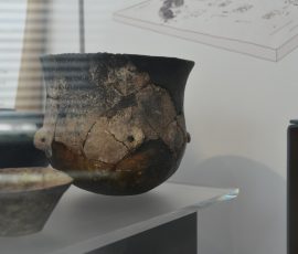 DSC_1058